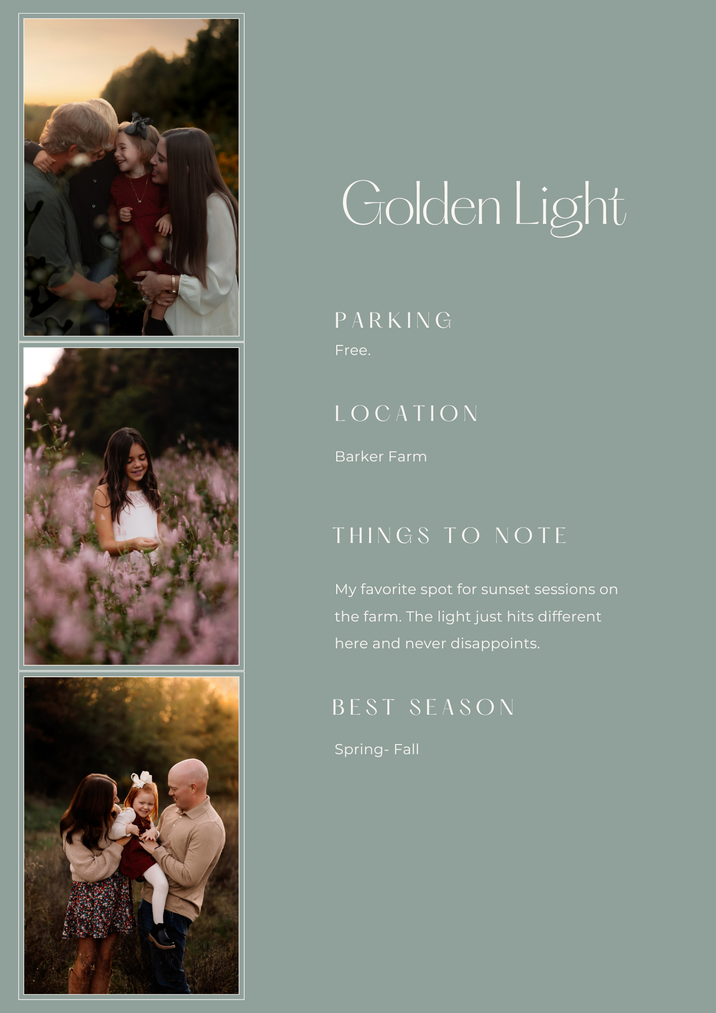 Wildflowers and field family session in Lonoke County Arkansas during the fall season.