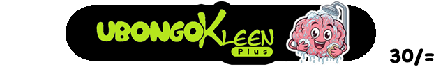 Brand logo for Biz-Test by How showing a green cartoon mascot character holding a flag against red background.