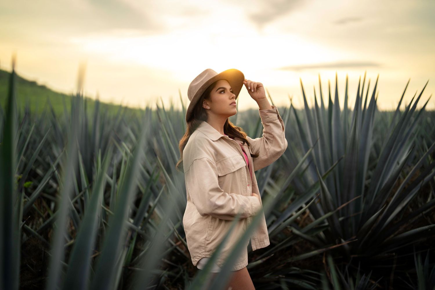 Una mujer vestida de rosa posa elegantemente entre plantas de agave durante la puesta de sol dorada en un paisaje desértico