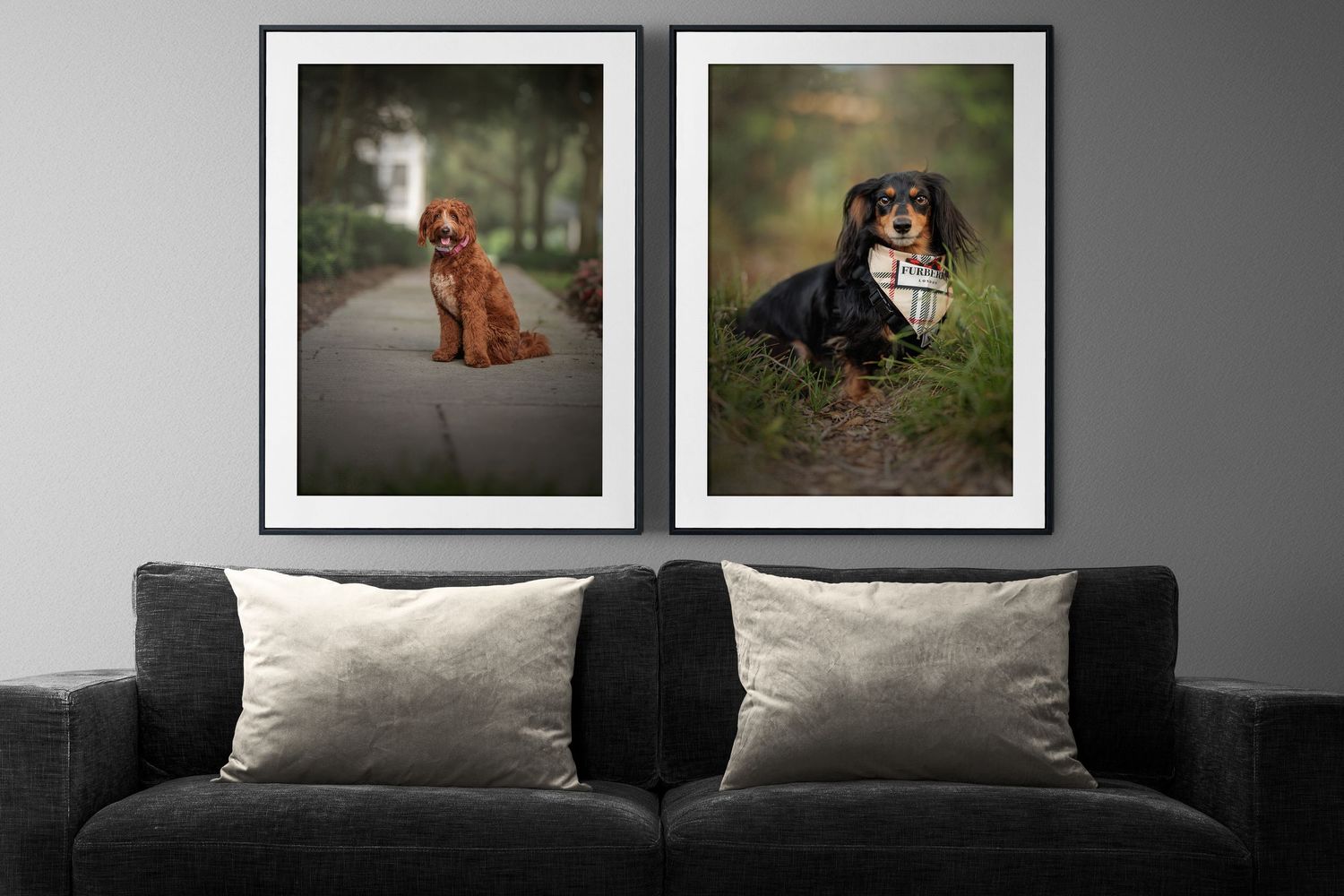 Fine Art Pet Photography