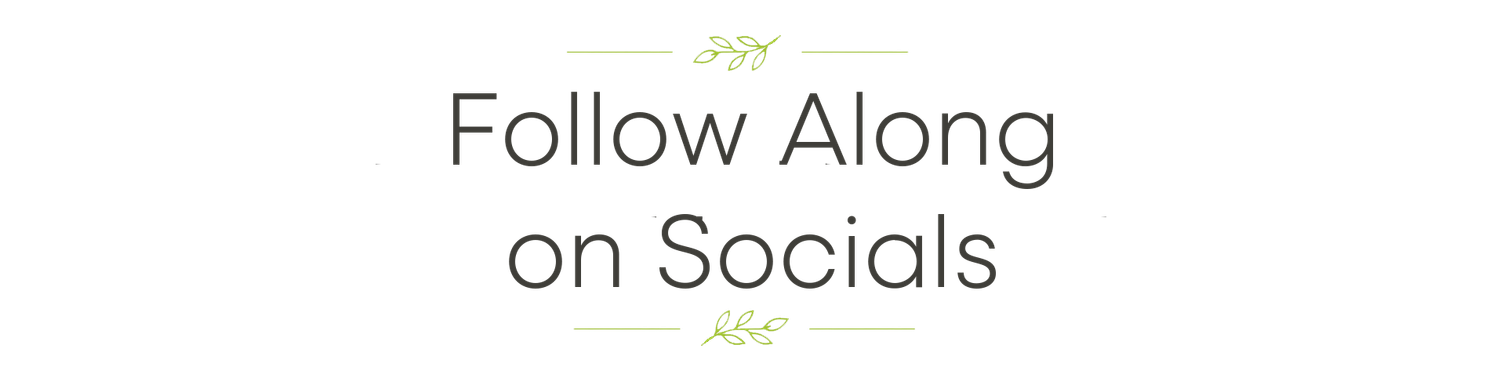 Decorative text banner reading Follow Along on Socials with elegant gold divider lines on white background.