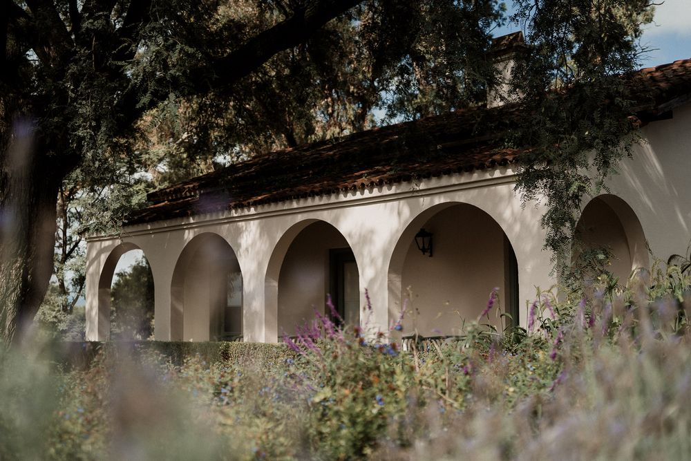 Historic Spanish colonial building with arched portico surrounded by blooming wildflowers and lush trees in soft natural light.