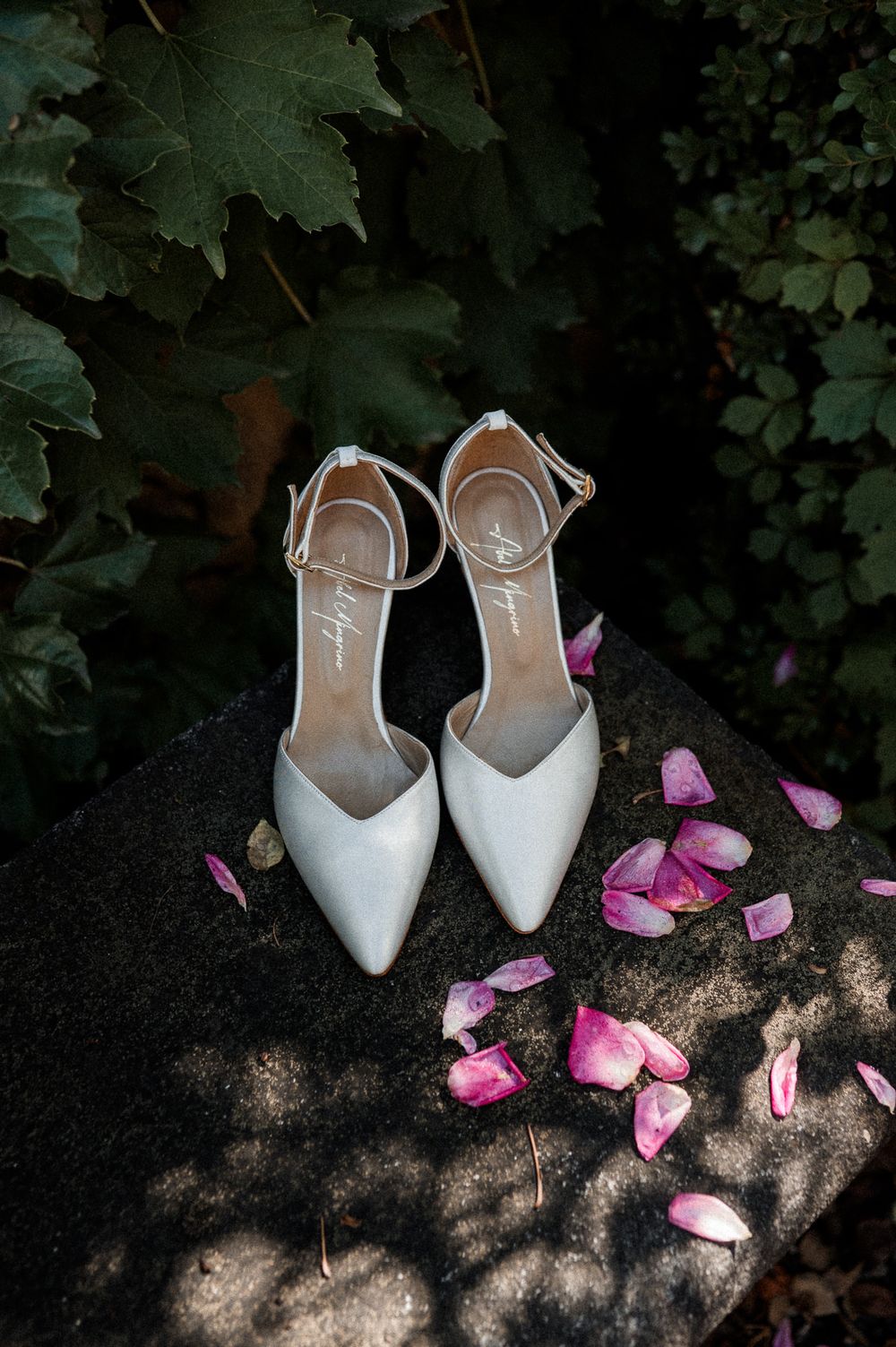 White pointed-toe heels with ankle straps on stone surface surrounded by pink rose petals and lush green ivy.