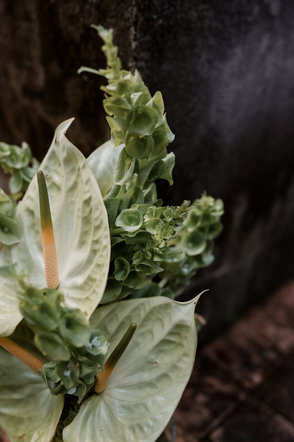 Close-up of white anthurium flowers and green succulents arranged against a dark textured tree trunk.