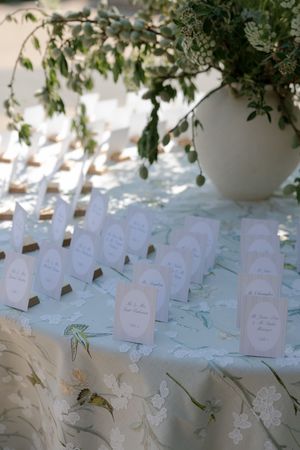 White place cards arranged on a delicate blue tablecloth with greenery hanging overhead create an elegant setting.