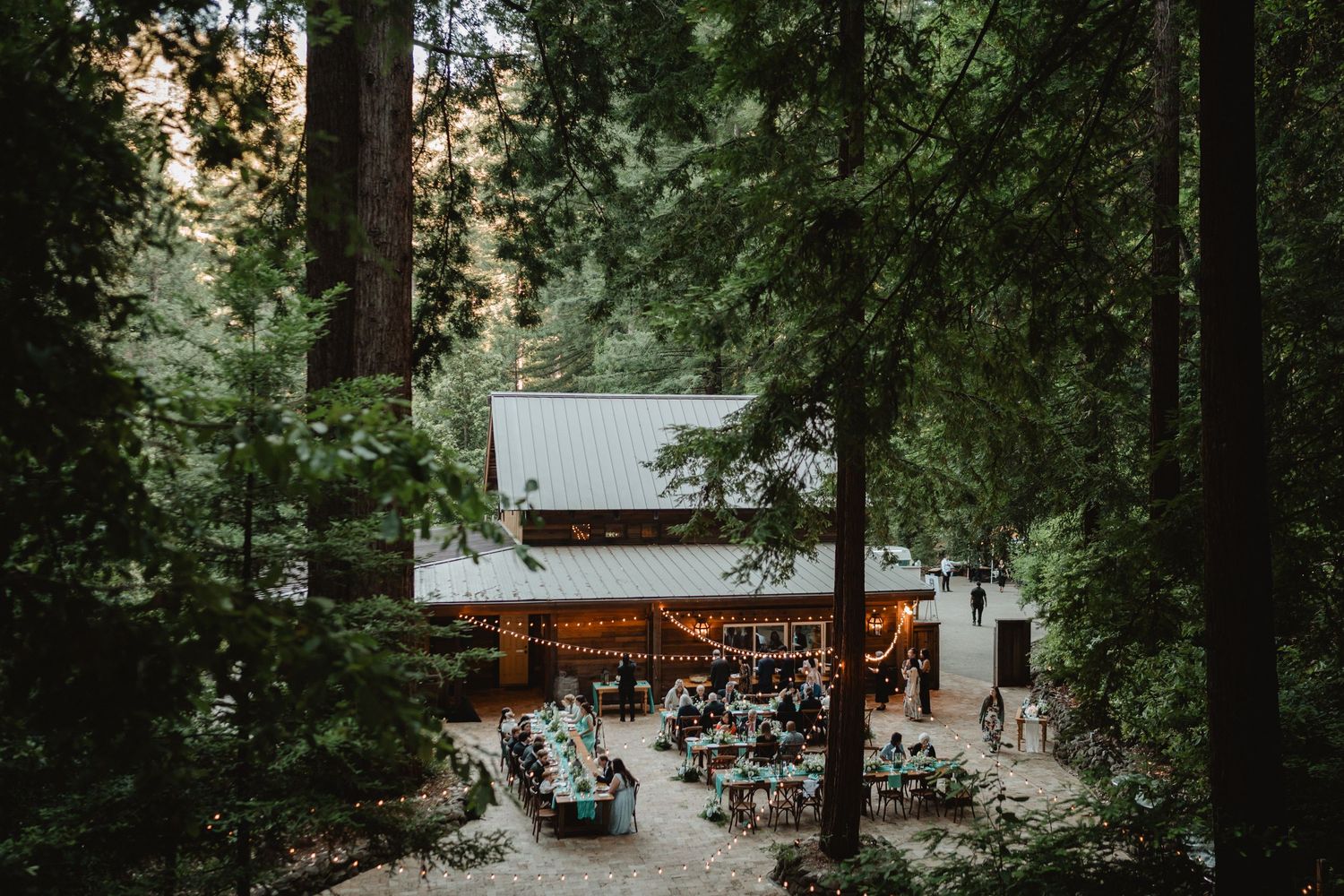 redwood forest wedding reception dinner at waterfall lodge