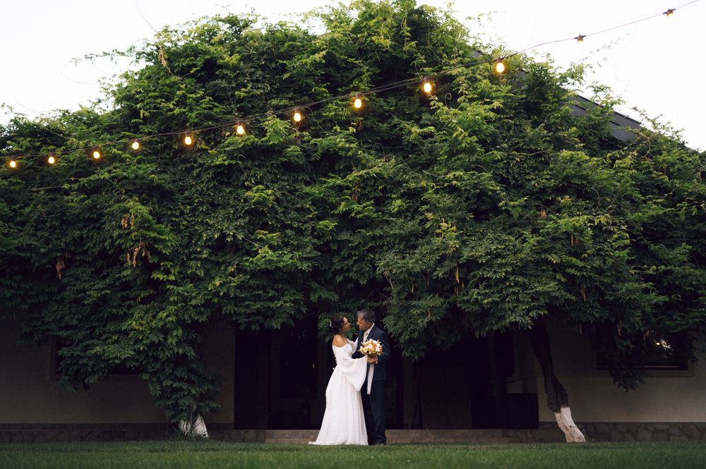 Bride and groom embrace under lush ivy-covered pergola with string lights at outdoor wedding venue.