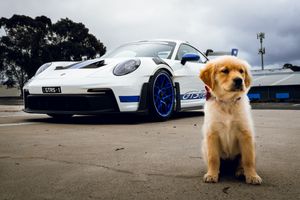 Golden retriever puppy sitting in front of white Porsche 911 GT3 with blue wheels outdoors.