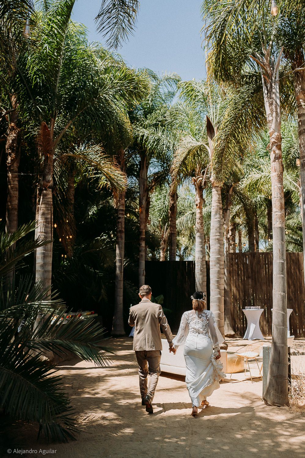 Bride and groom walk hand-in-hand through a sun-drenched palm tree lined path at an outdoor wedding venue.