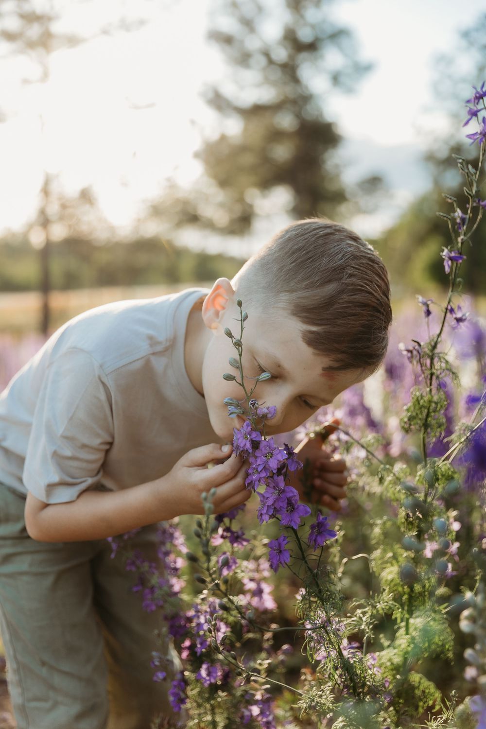 Young boy bending down to smell purple wildflowers in a sunlit field during golden hour.