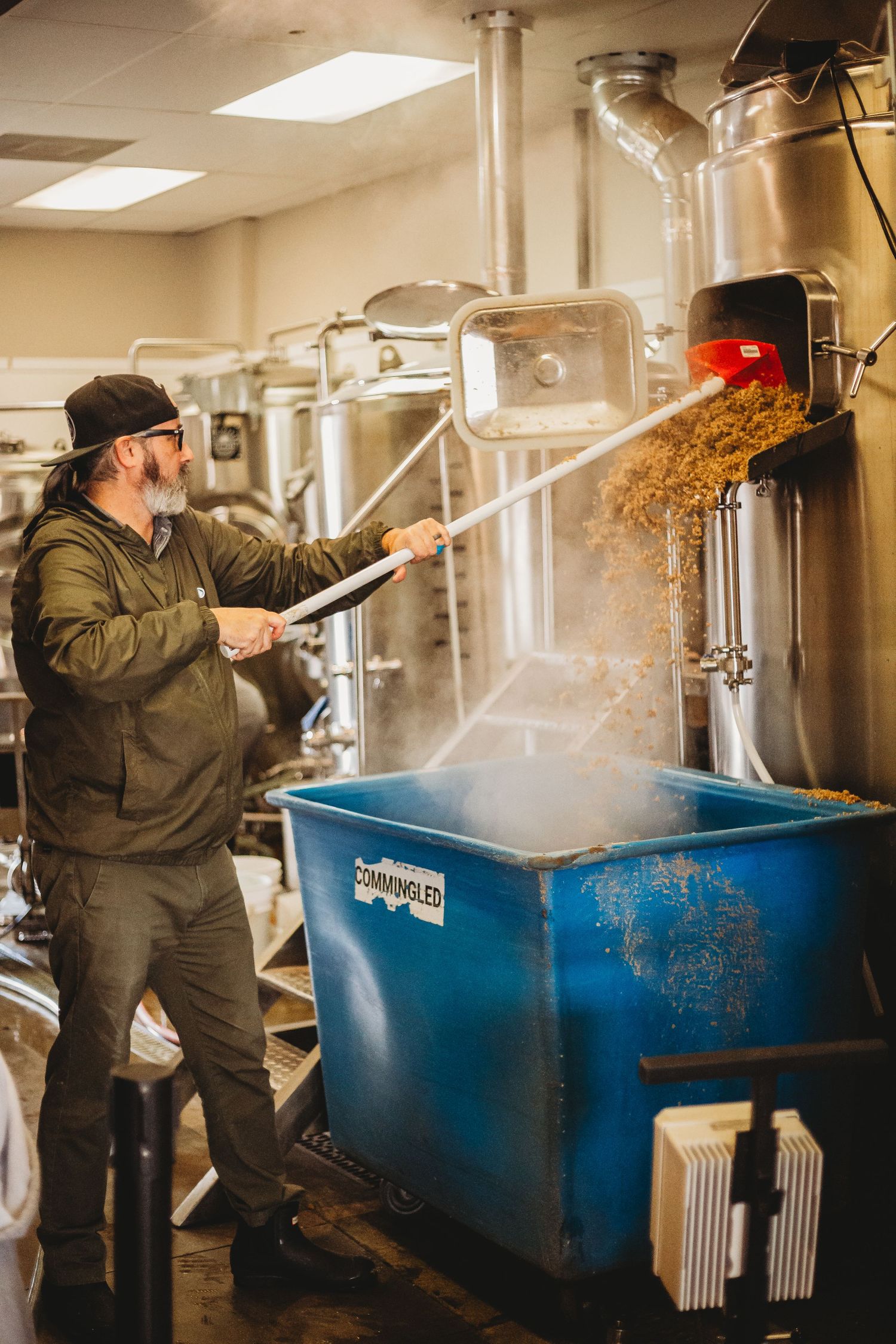 Brewer scraping hops into a bin