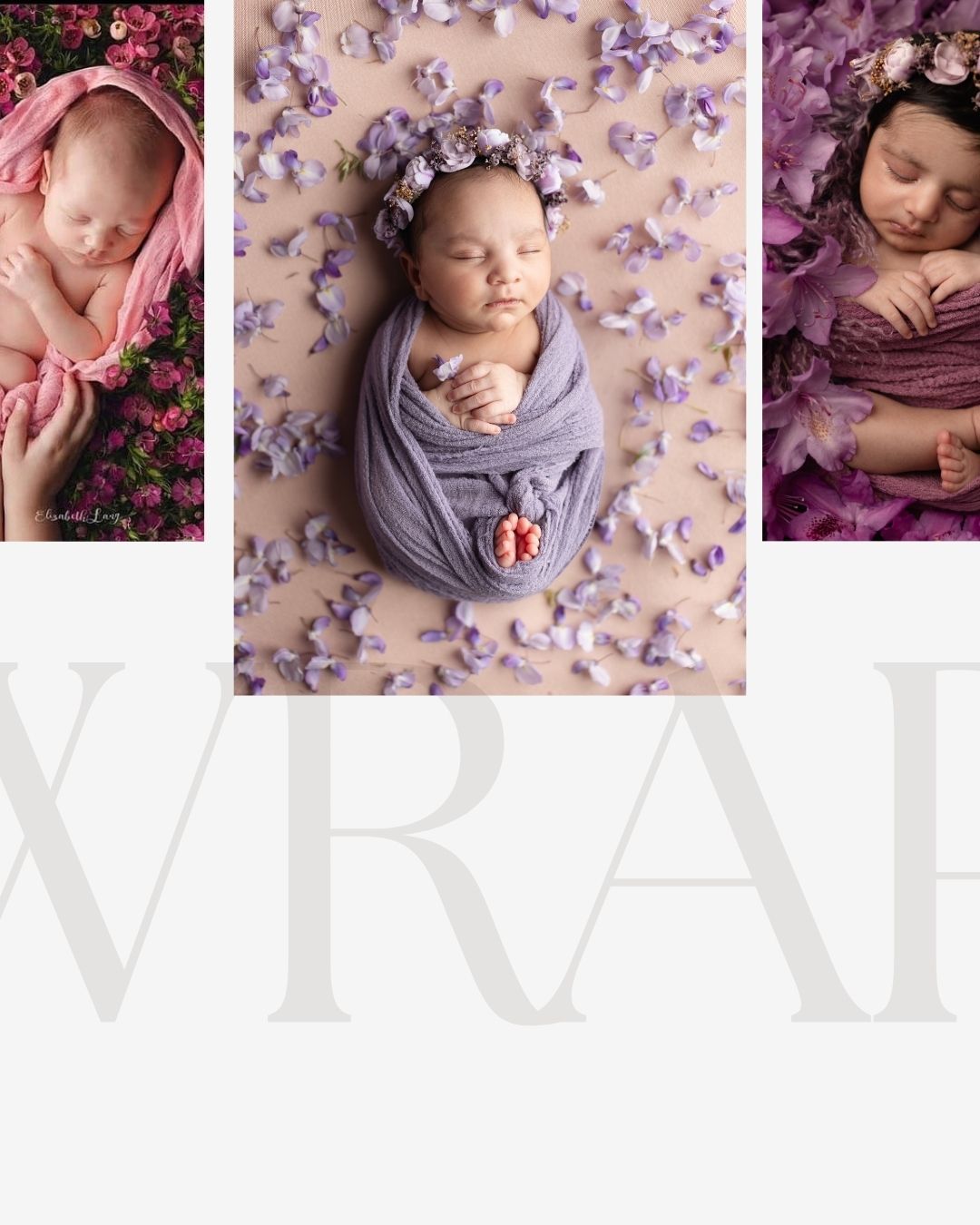 Three newborn babies wrapped in pink and purple fabrics, surrounded by delicate floral petals in soft studio photography.