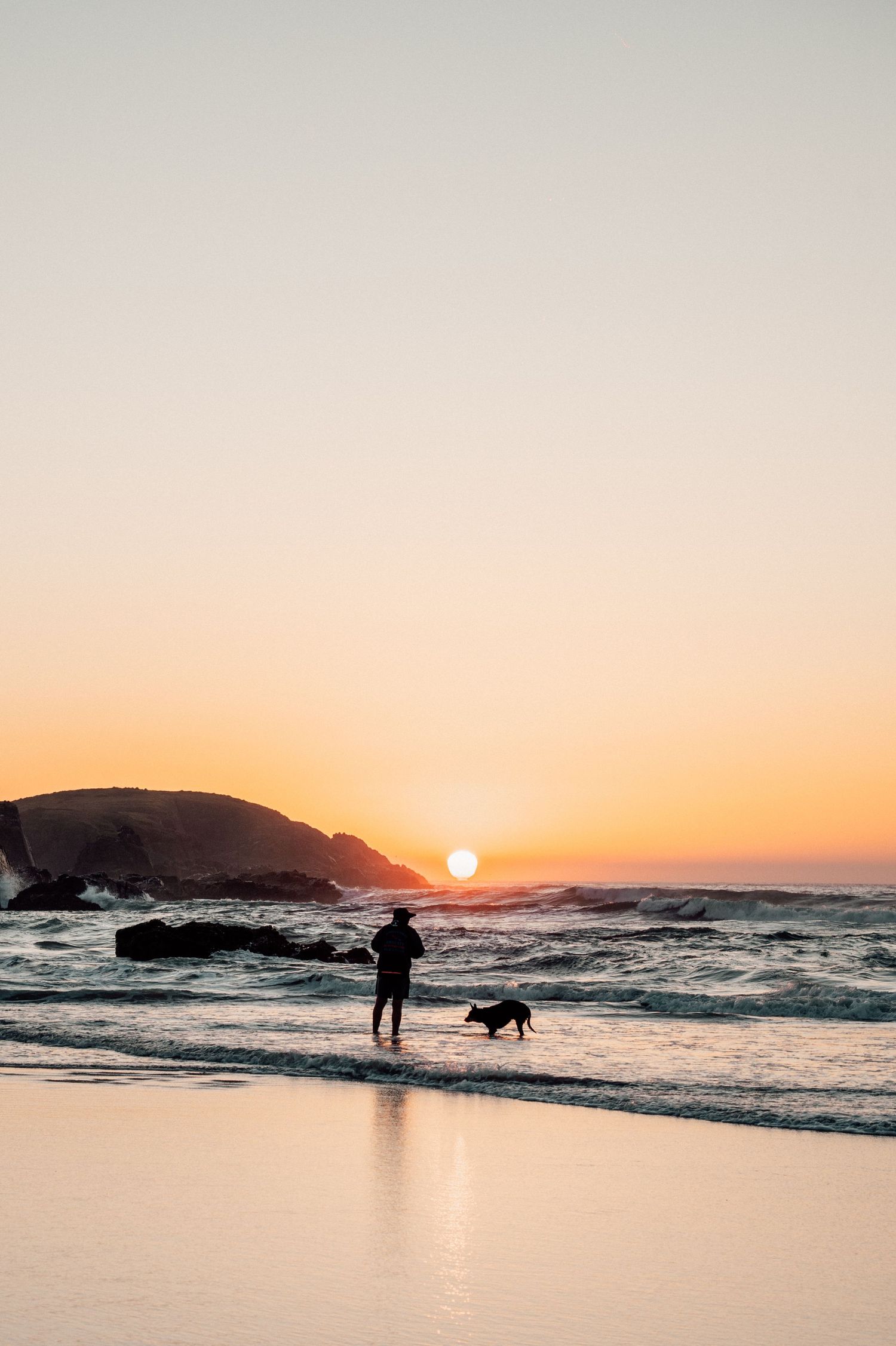 Silhouette of a person and dog playing on a beach at golden sunset with ocean waves and rocky headland backdrop.