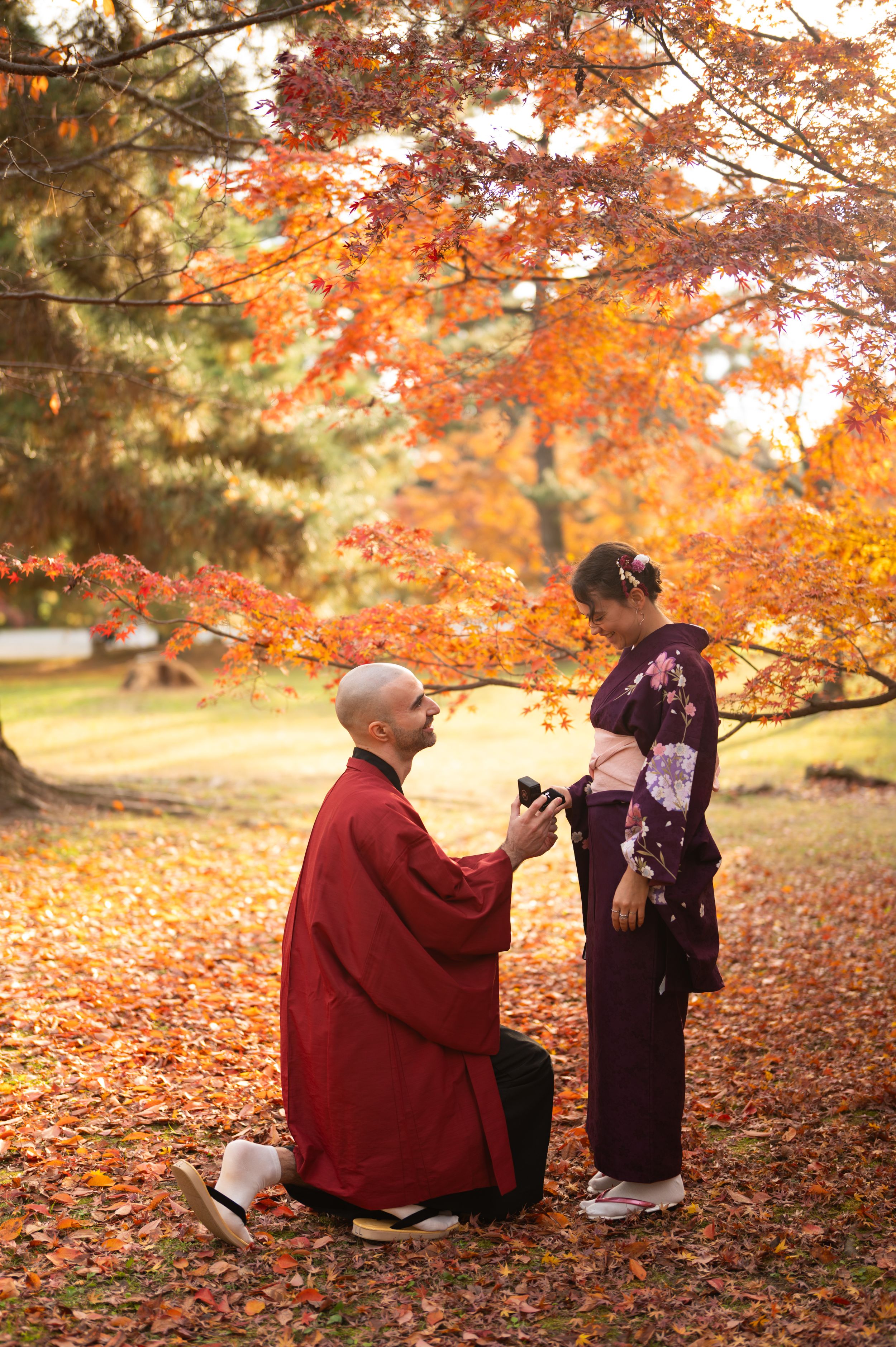 Man in red kimono kneels with a ring box proposing to a woman in a floral purple kimono beneath vibrant autumn maple leaves.