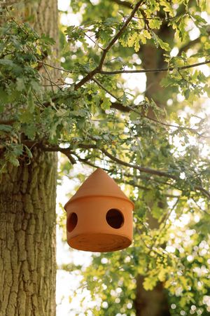 Abri à oiseaux de la marque Potterie Lutton accroché dans un chêne