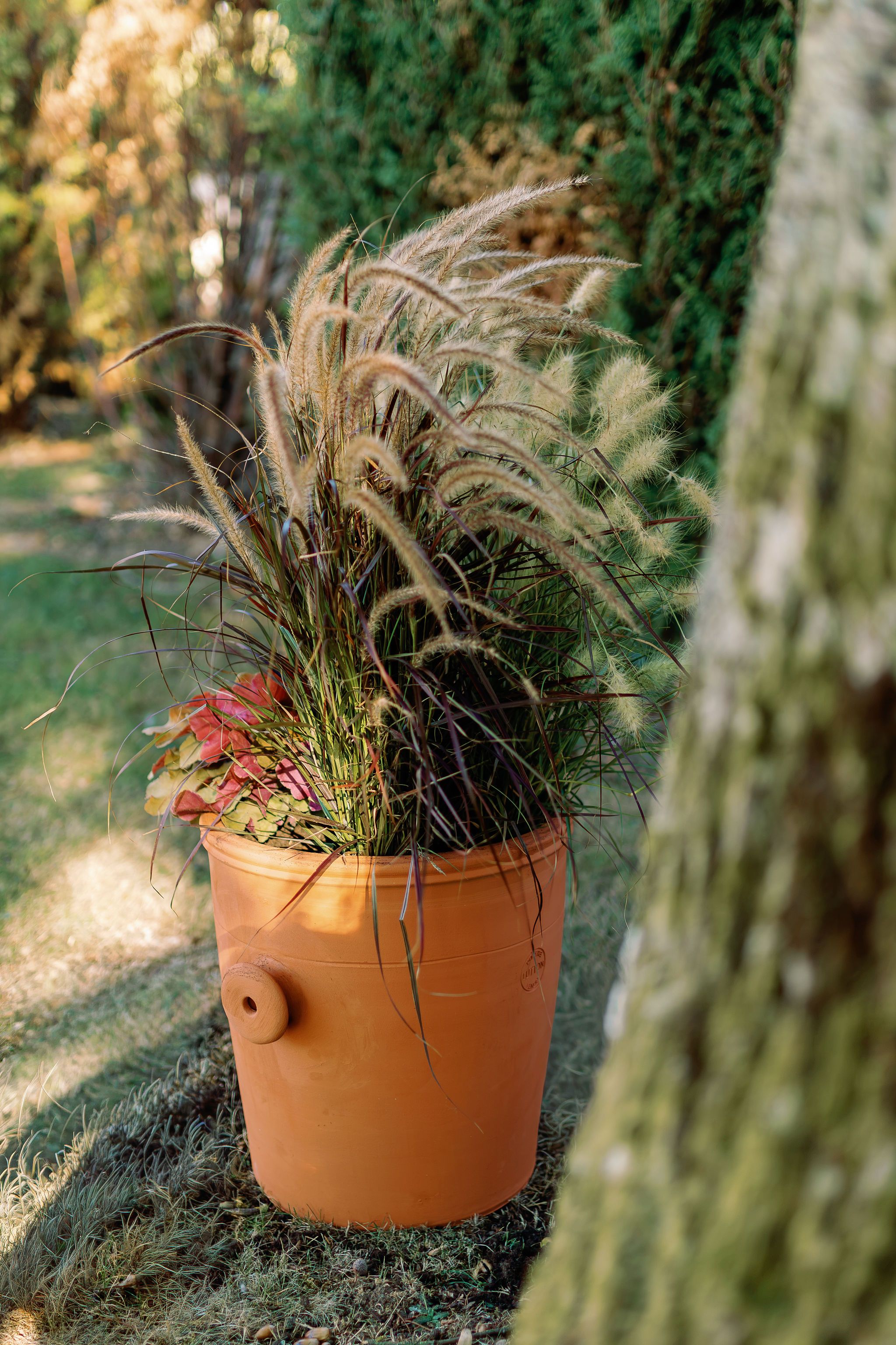 Gros pot à oreilles de la marque artisanale Potterie Lutton dans un jardin