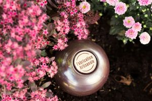 Ollas Potterie Lutton avec des fleurs autour