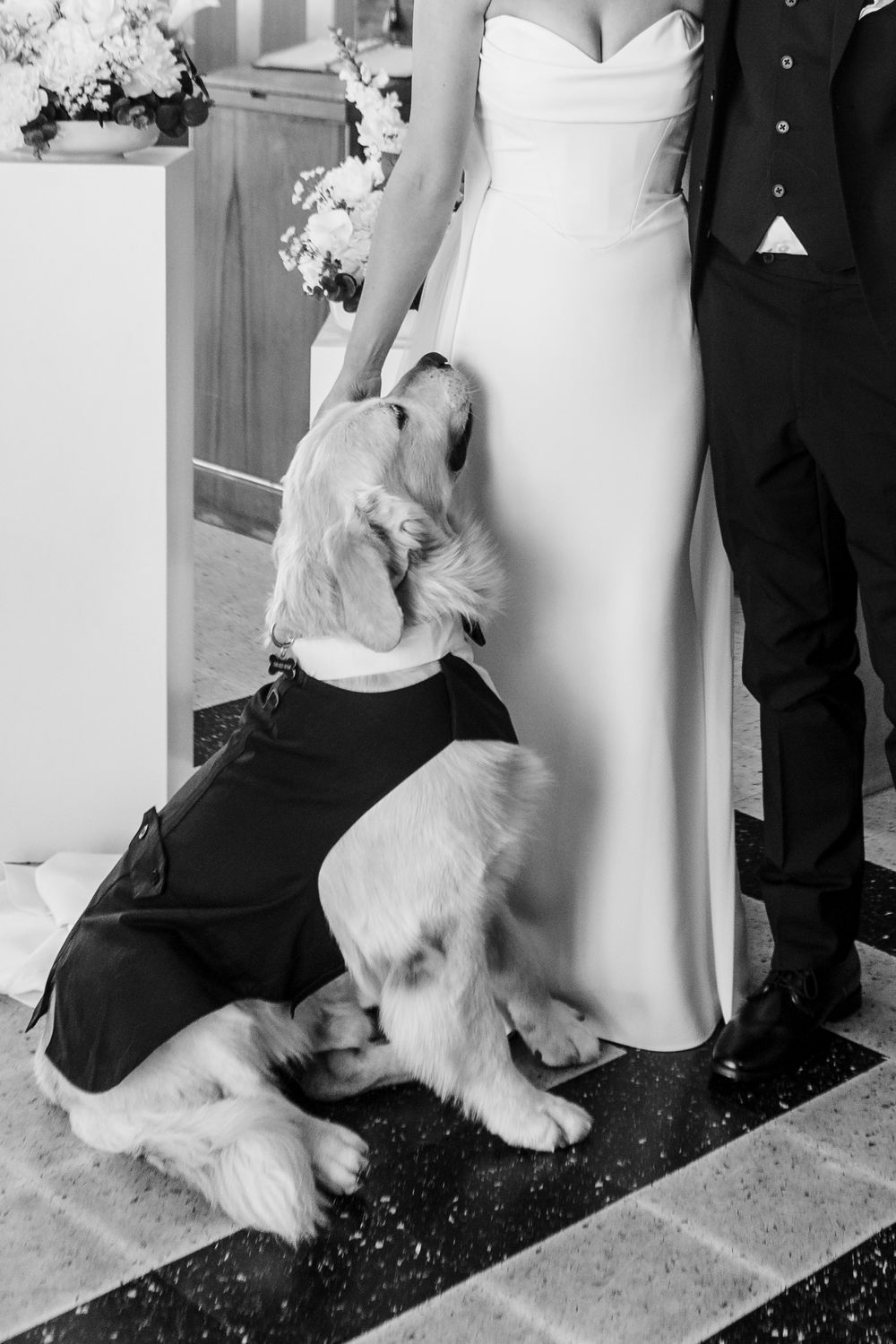 A dog dressed in a tuxedo sits between a bride in white gown and groom in black suit at a wedding ceremony.