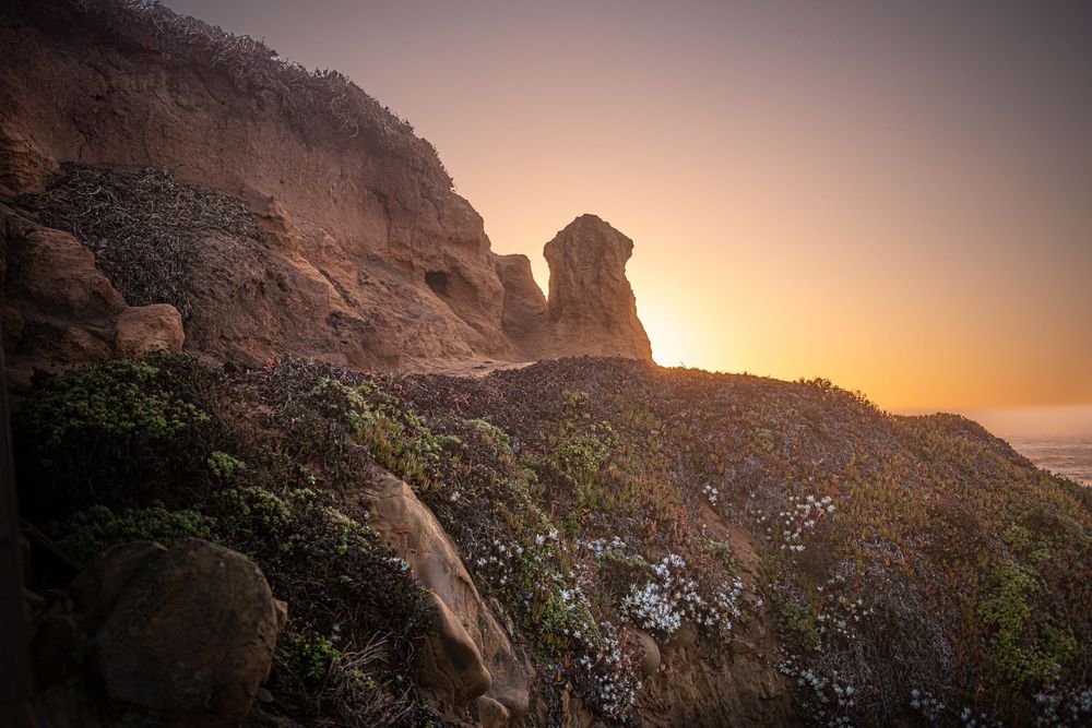 Dramatic coastal cliffs at sunset with wildflowers, golden haze, and a rock formation silhouetted against the warm glowing sky.