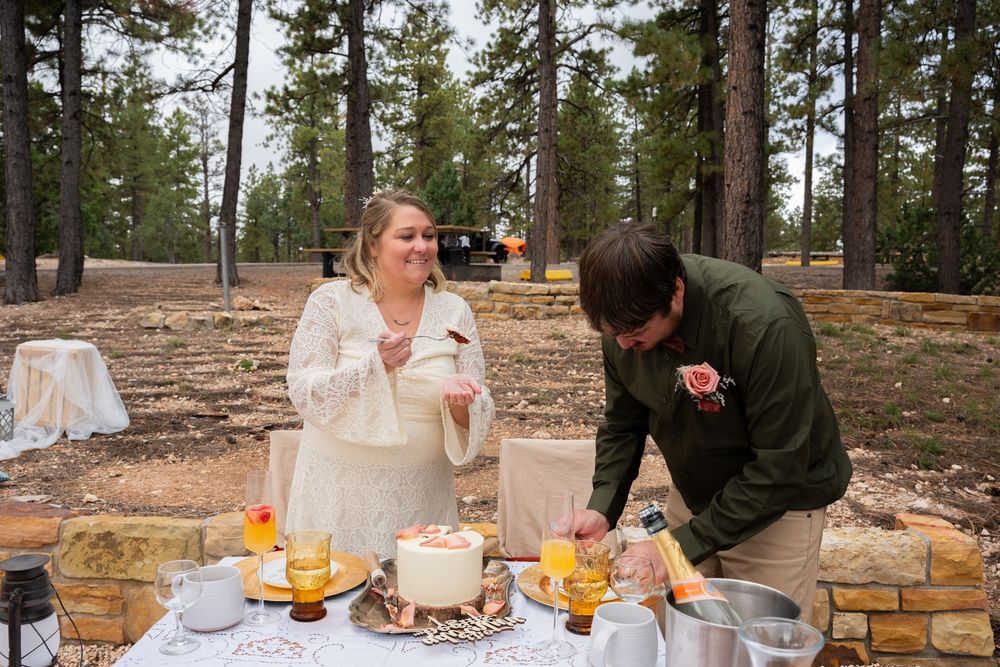 Bride and groom cutting wedding cake outdoors among pine trees at a rustic forest wedding celebration.