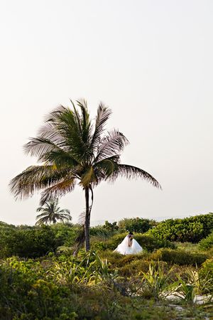 Bride and groom embrace beneath a tropical palm tree surrounded by lush greenery on a beach.