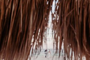 A couple stands on a beach framed by hanging palm fronds, creating a romantic tropical scene.