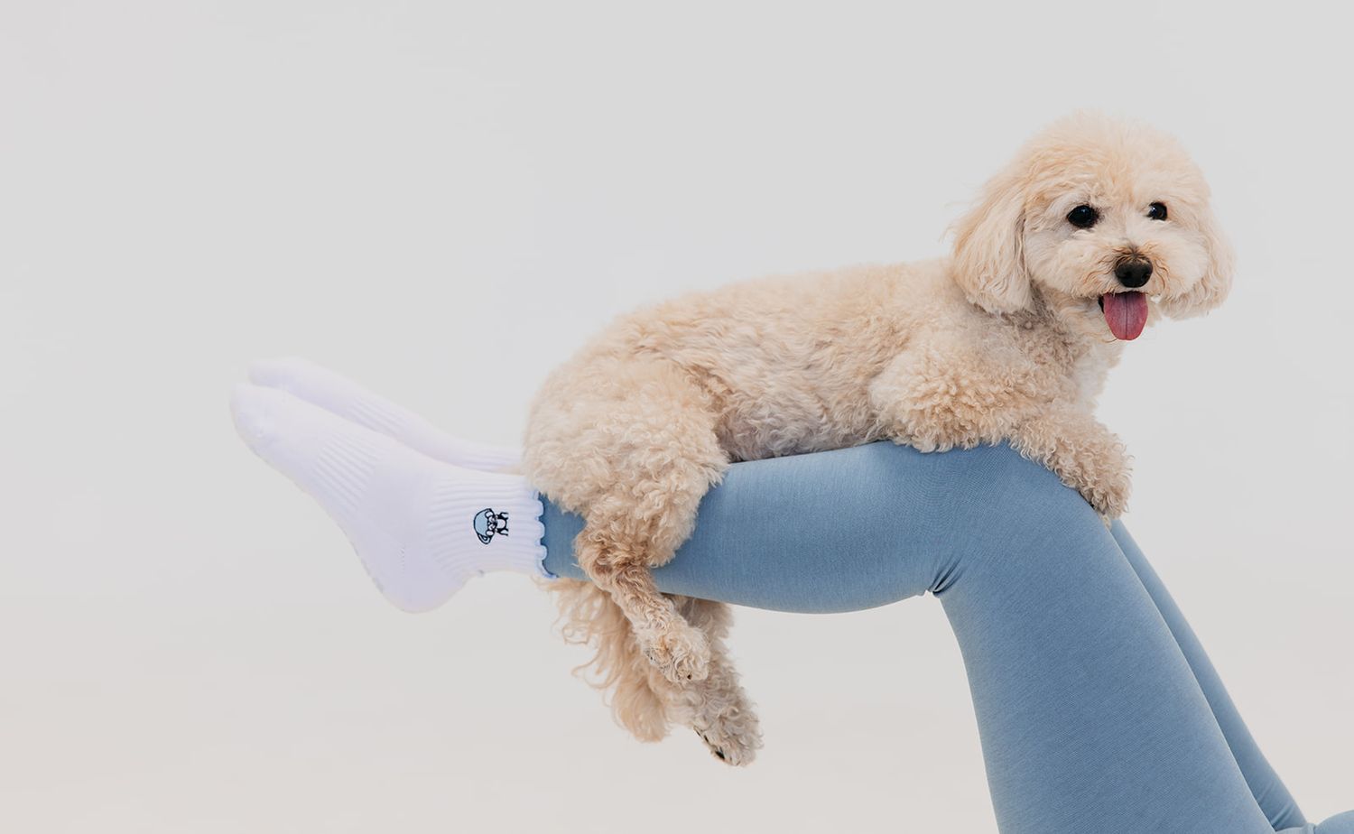 Woman in brown activewear sits on yoga mat holding a fluffy golden dachshund against white background.