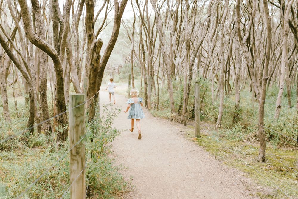 A young girl in a blue dress runs along a winding forest path surrounded by tall, bare trees.