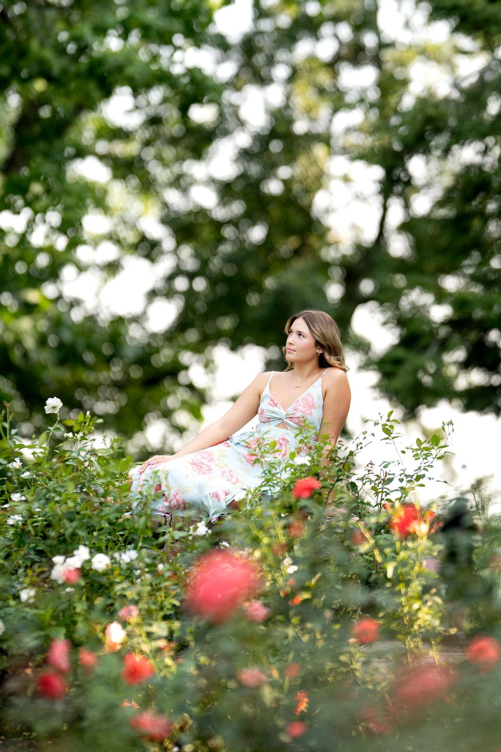 Woman in floral dress sitting among blooming roses in a lush green garden park.