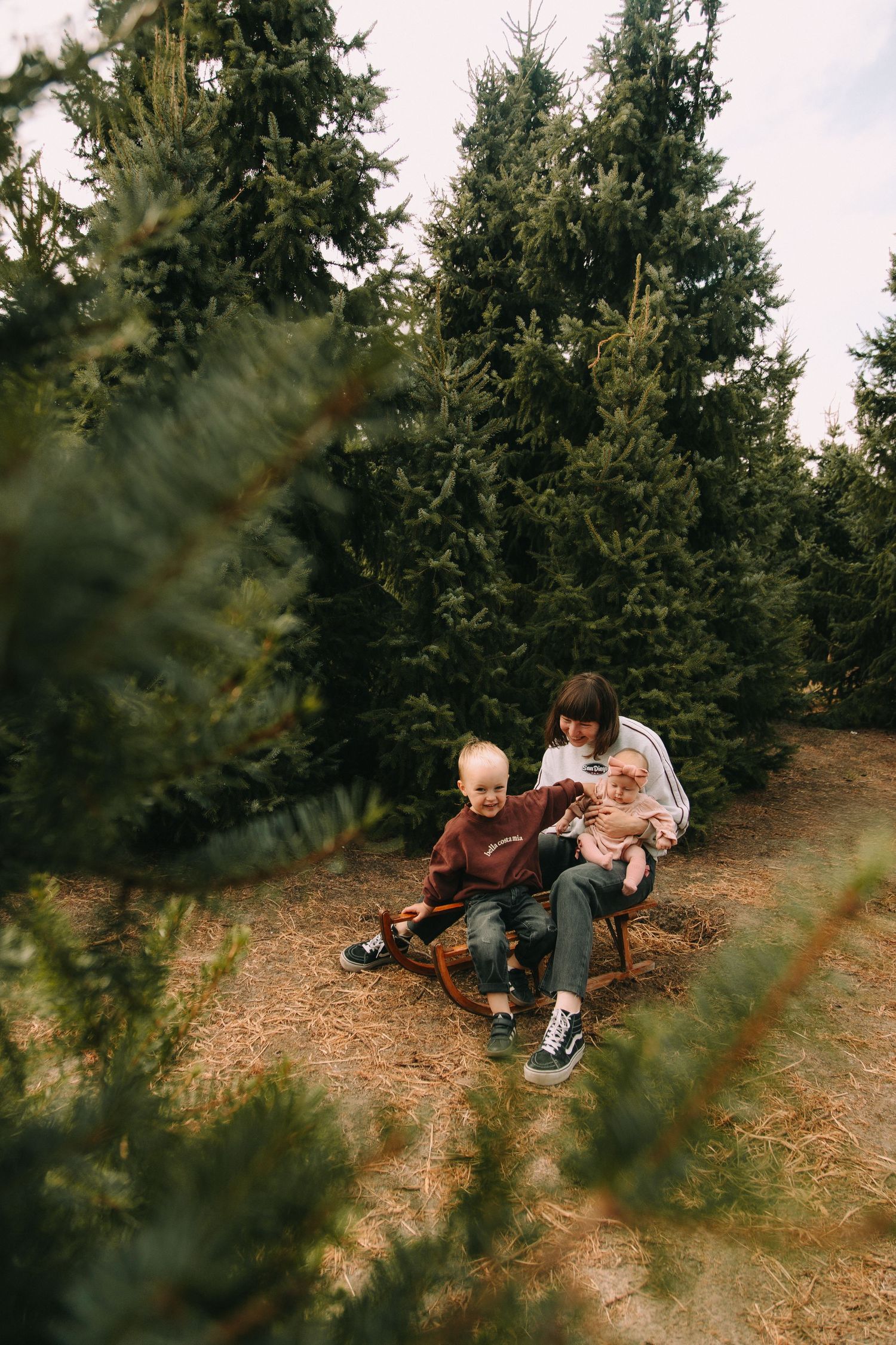 Kerstshoot tussen de kerstbomen | Kruisem