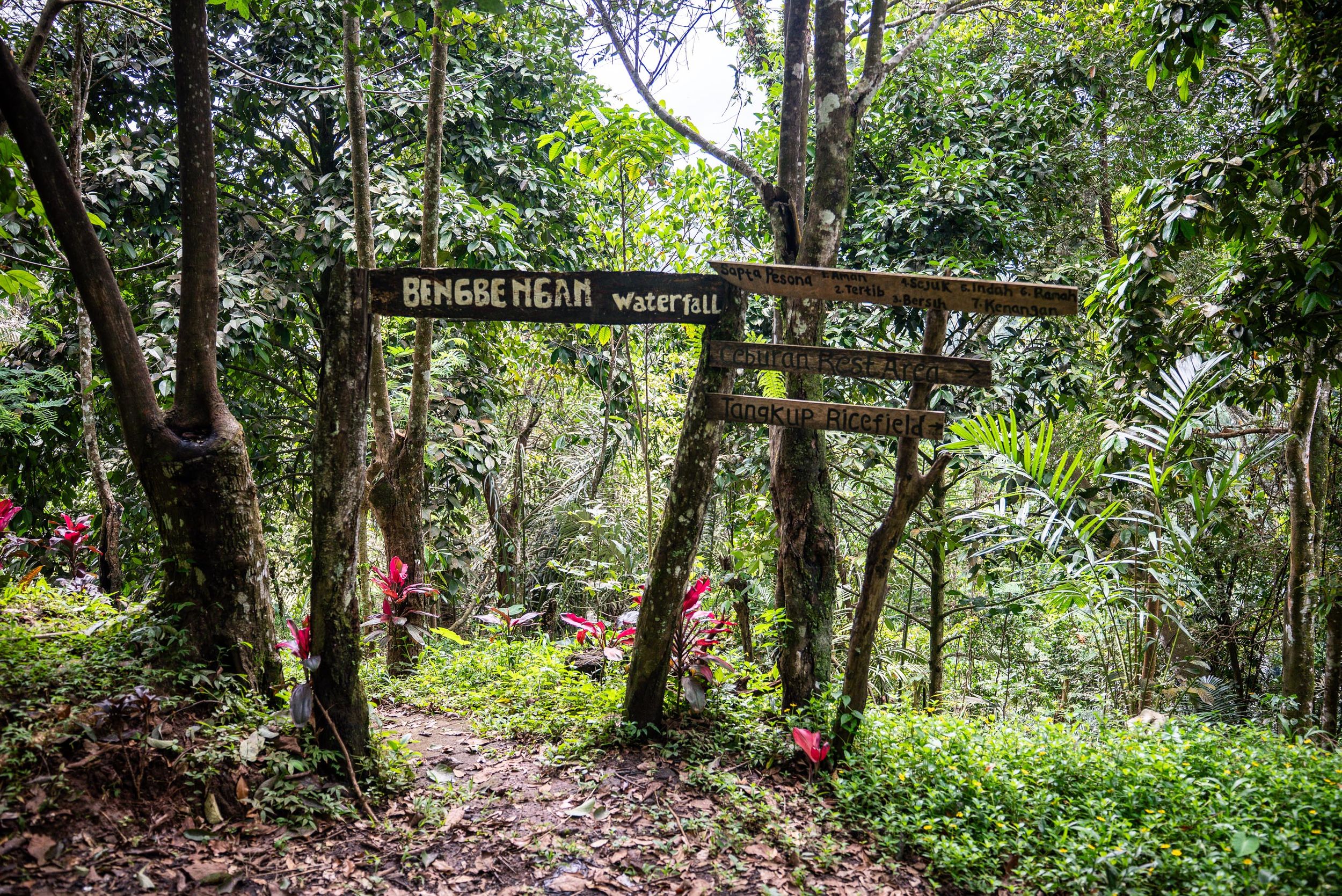Lush mountain scenery near Munduk in North Bali
