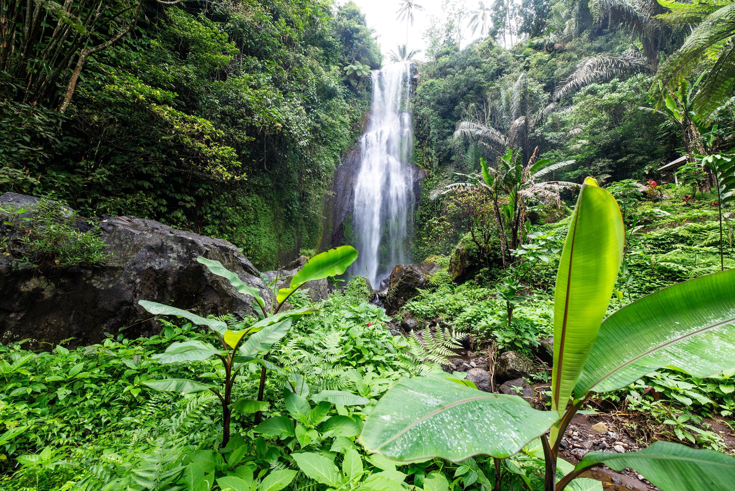 Rural landscape near Lemukih Village in North Bali