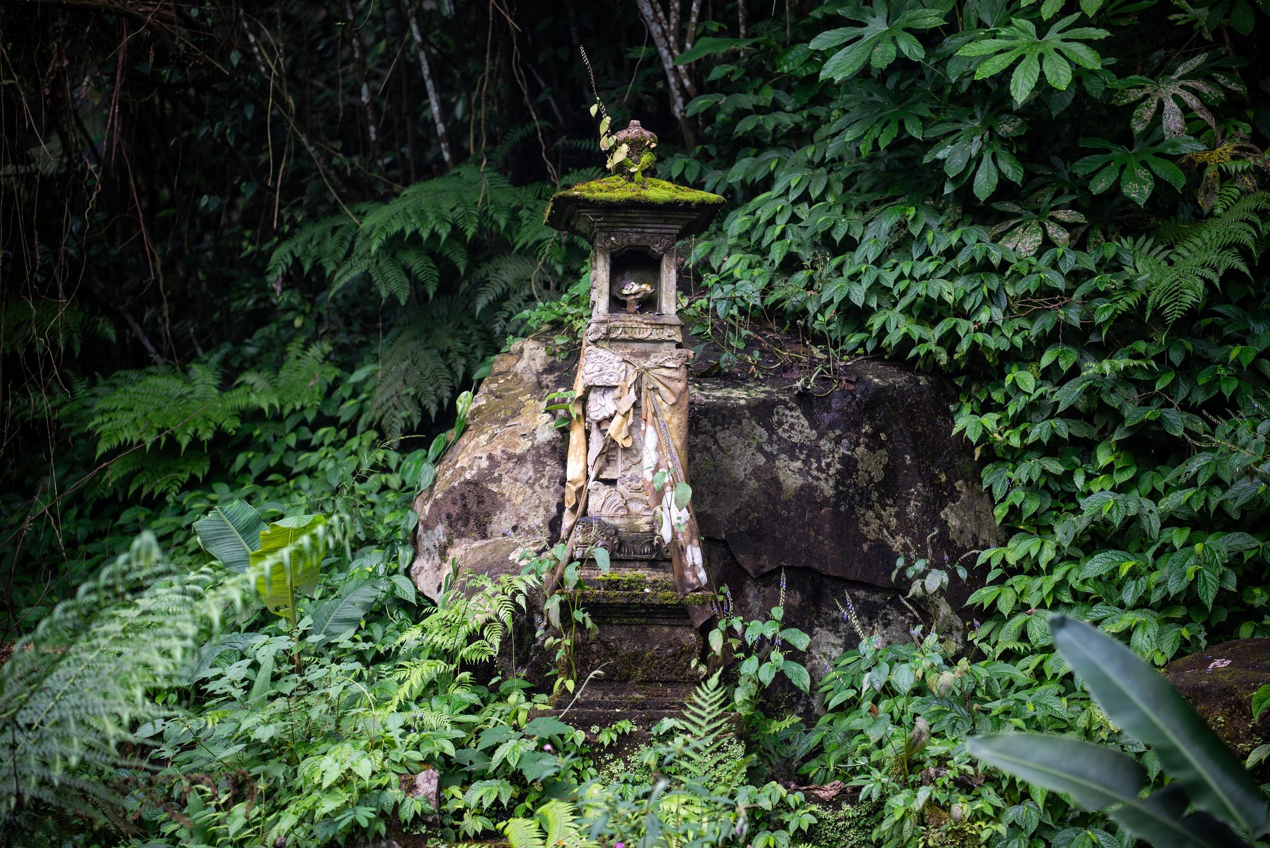 Bengbengan Waterfall cascading through lush jungle in North Bali