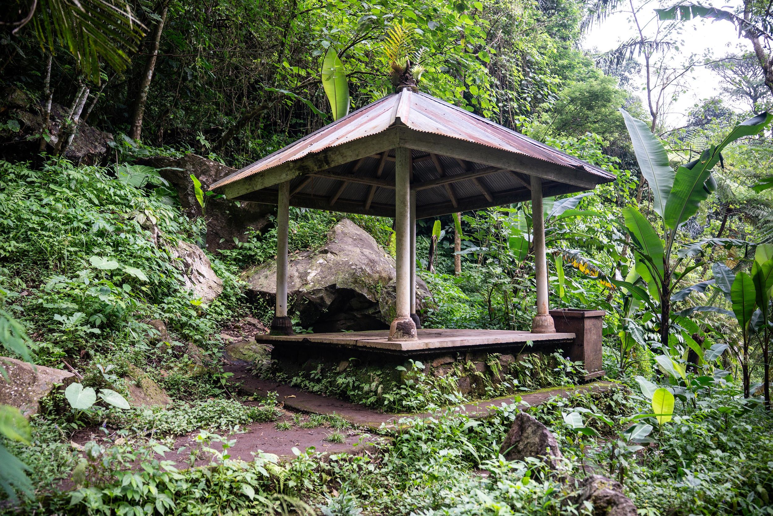 Dense tropical jungle and plantations beside the Bengbengan trail