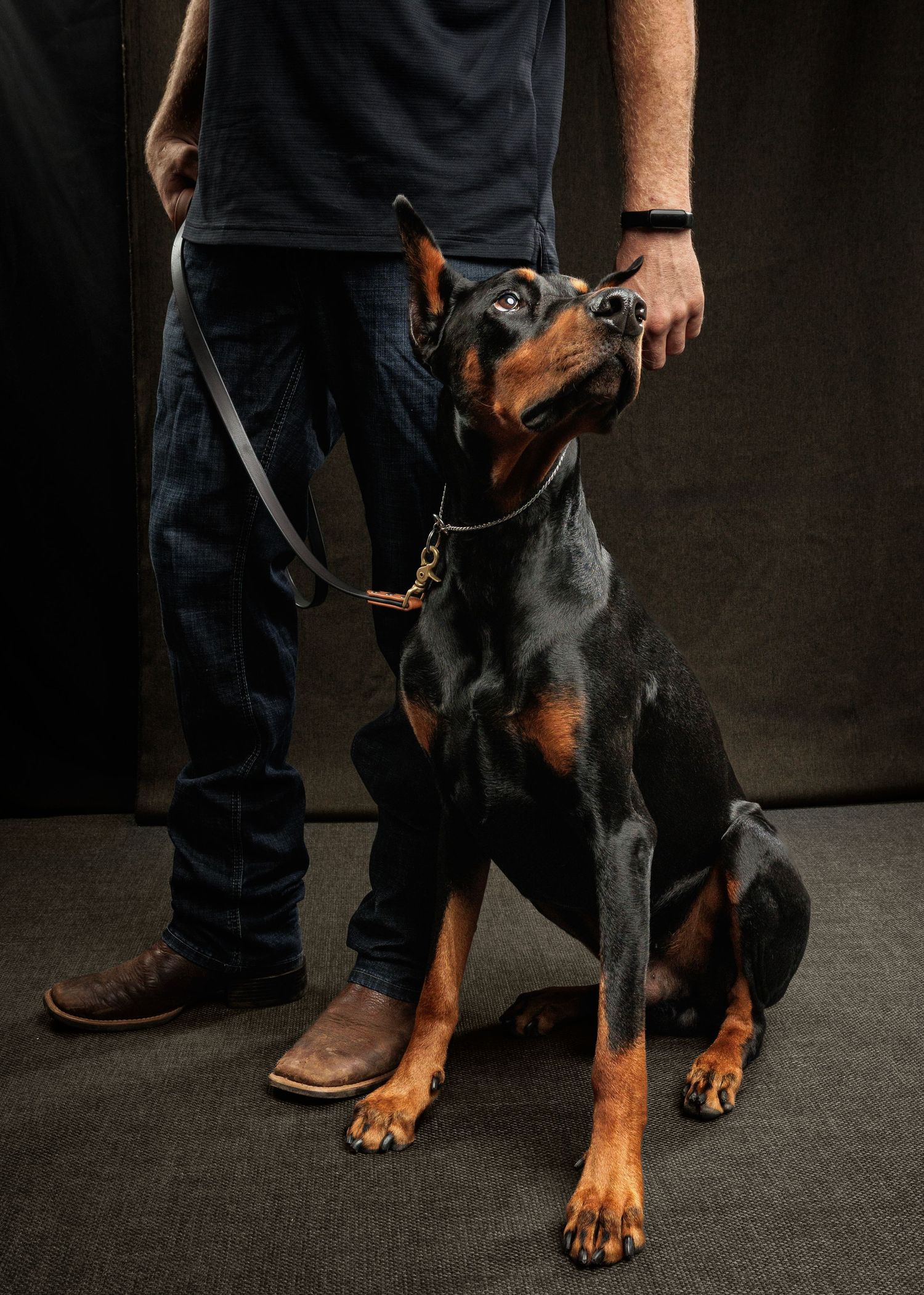 A Doberman Pinscher sits attentively on a leash beside its owner wearing jeans and brown cowboy boots.