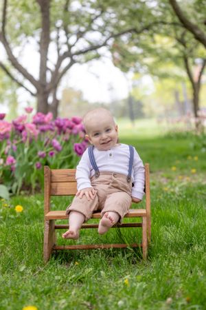 Adorable baby in suspenders sitting on a tiny wooden bench surrounded by colorful tulips.