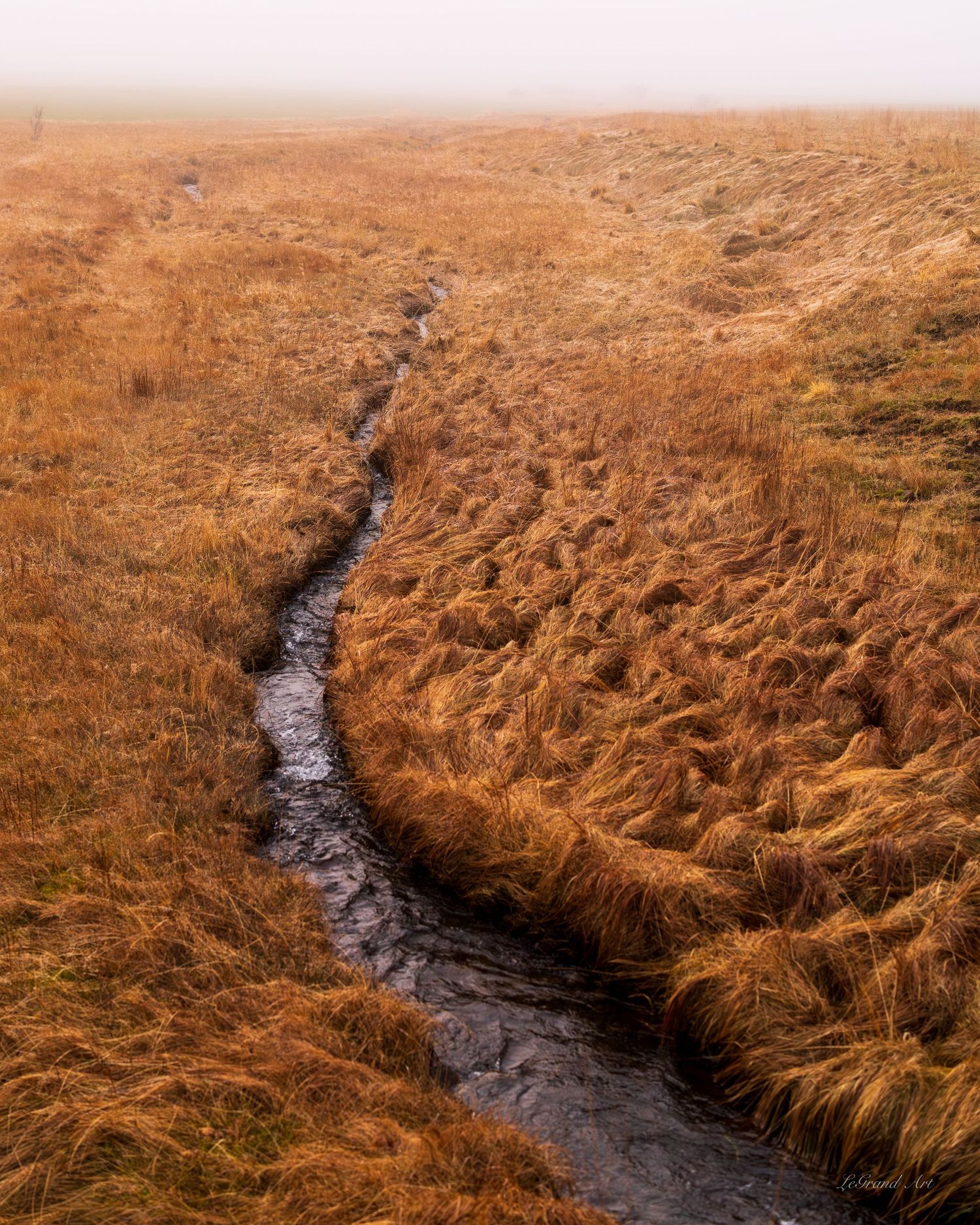 Narrow winding stream cutting through golden brown moorland grass in misty autumn landscape.