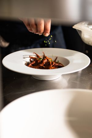 Chef sprinkling fresh herbs onto a gourmet octopus dish in a white ceramic bowl.