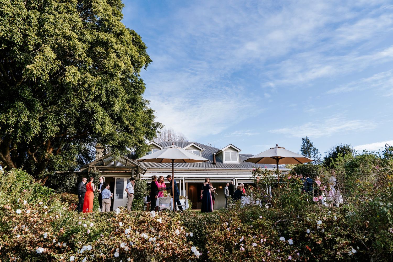Spicers Clovelly Estate Montville Wedding - Sunshine Coast Wedding Photographer
