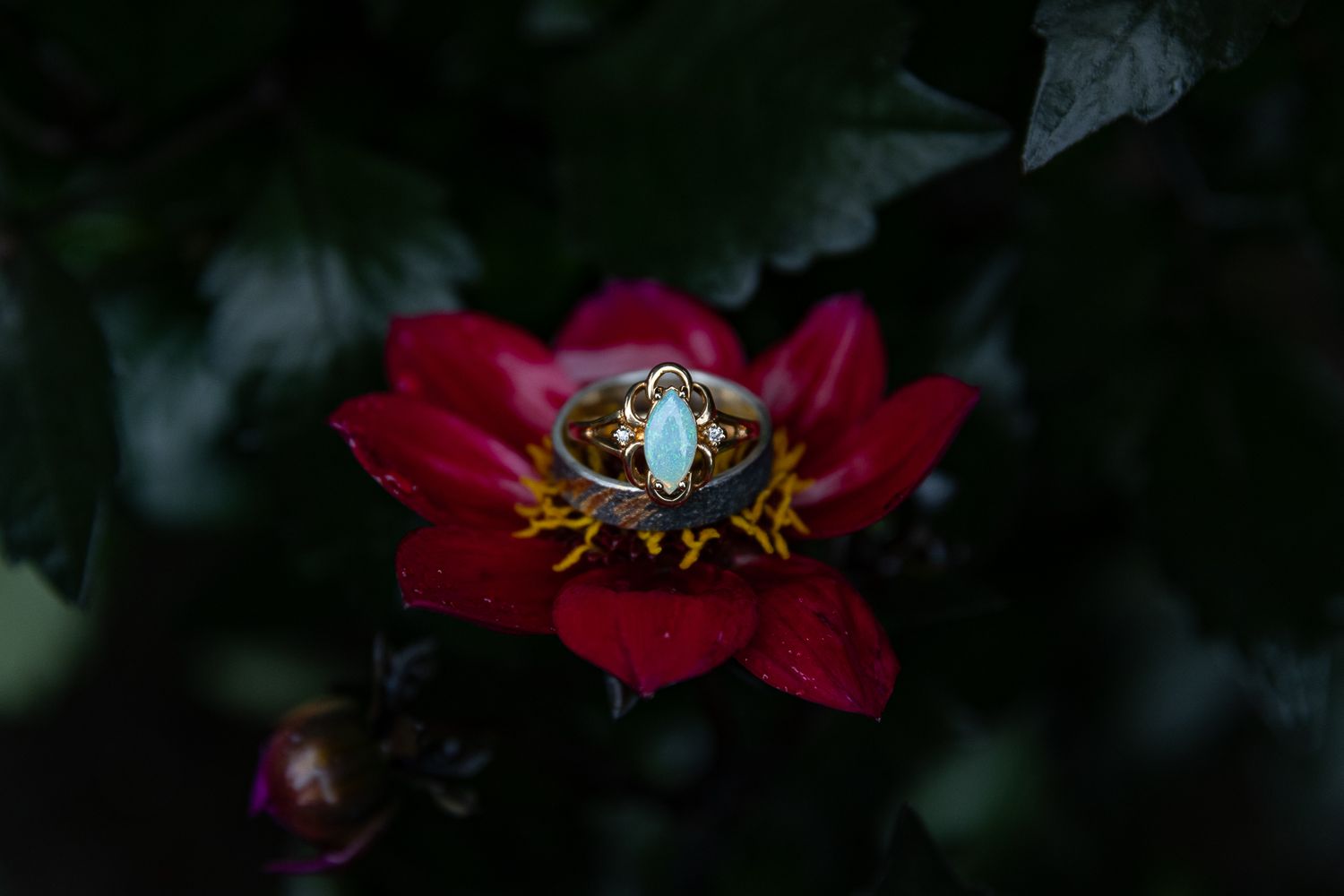Wedding Rings on Dahlia Flower during a Wedding at Camp Lane, Portland Oregon Wedding Photographer
