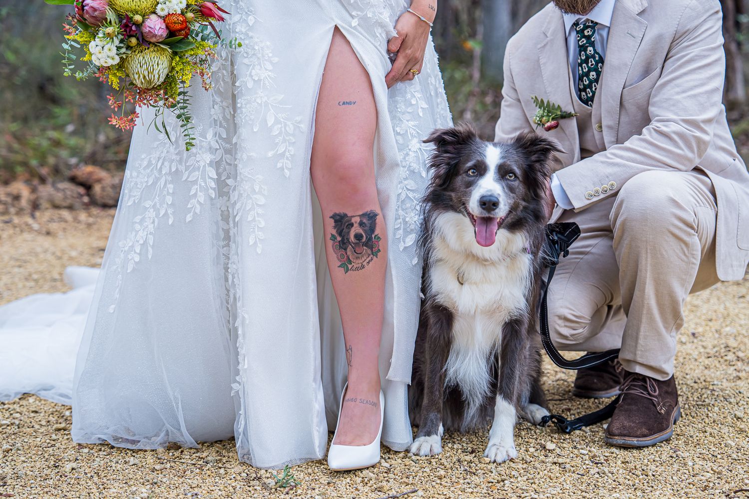 A happy Border Collie dog poses with a wedding couple, showing the bride's white dress and groom's beige suit.