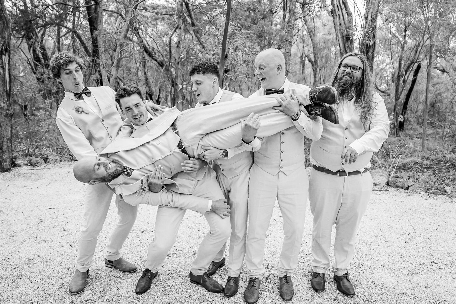 Fun black and white photo of groomsmen playfully lifting up and carrying someone on a dirt path in a wooded area.