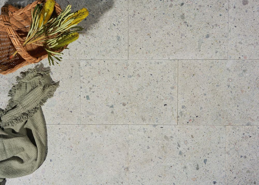 Fresh sage herb leaves scattered on a textured gray concrete surface with warm natural lighting.