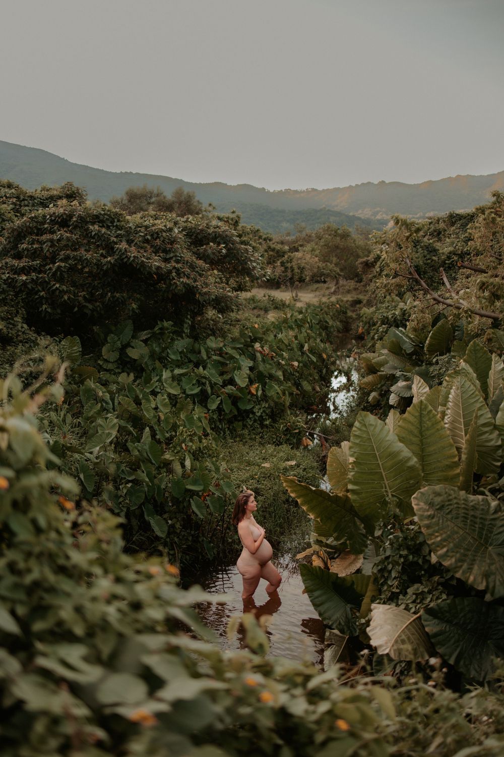 Lush tropical garden path with mountains in background and foliage framing the scene.