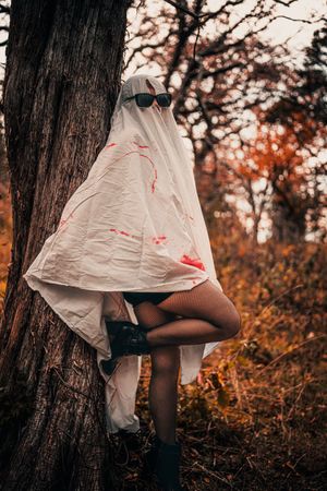 © Mike Whitman Media