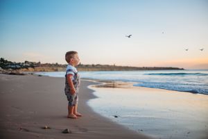 Family photography