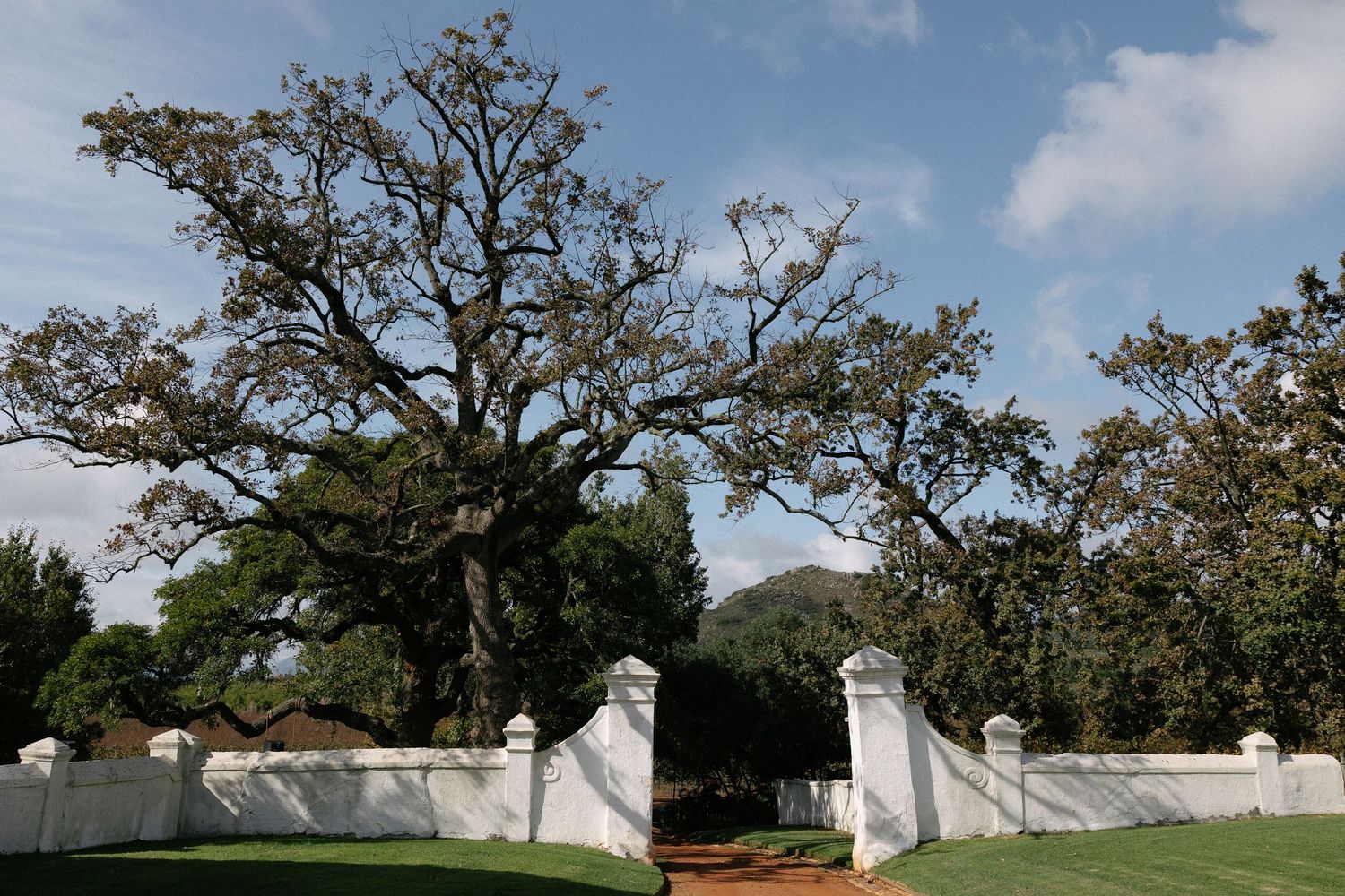 Cape Town wedding photographer Christene de Coning documentary wedding at Babylonstoren.