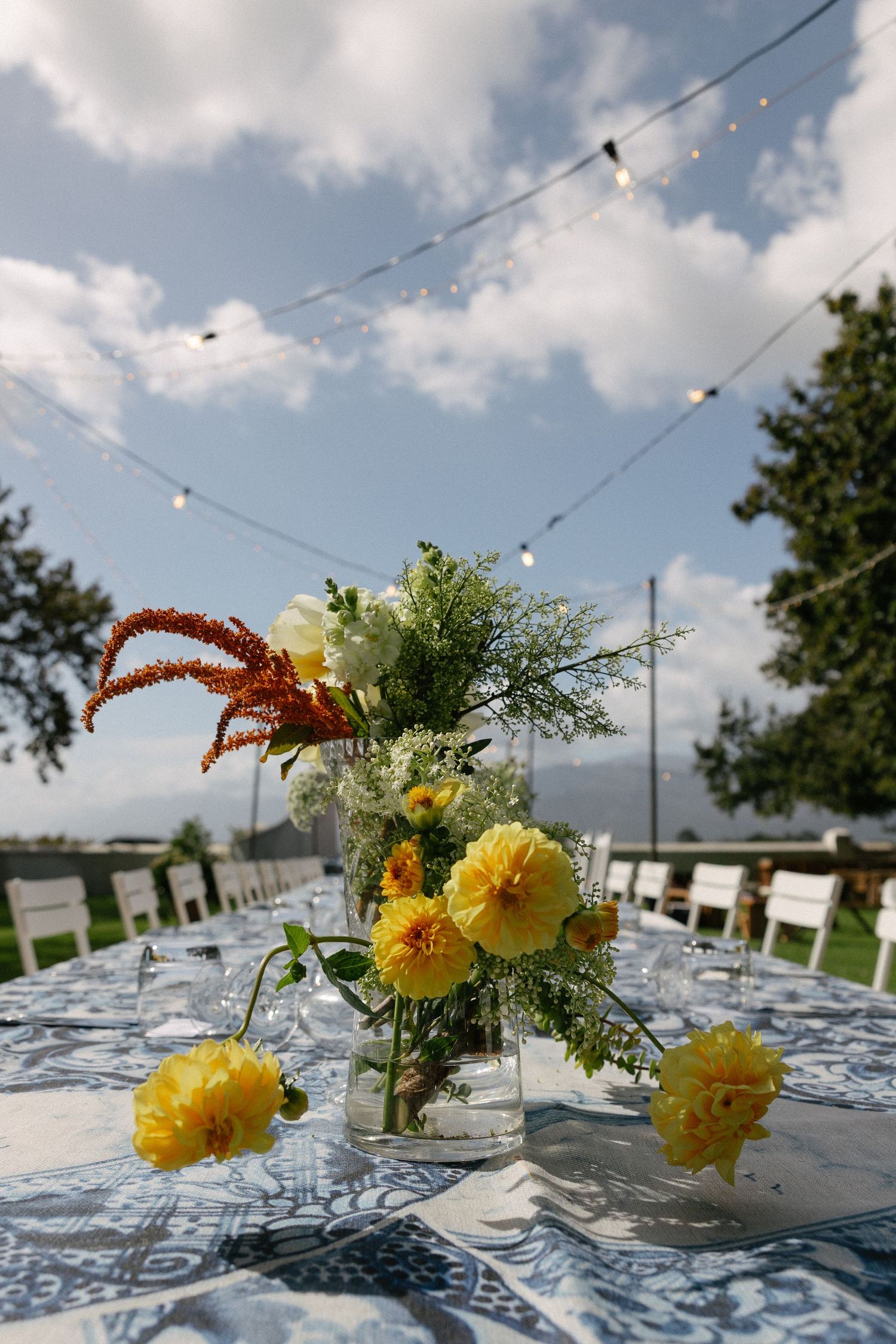 Cape Town wedding photographer Christene de Coning documentary wedding at Babylonstoren.