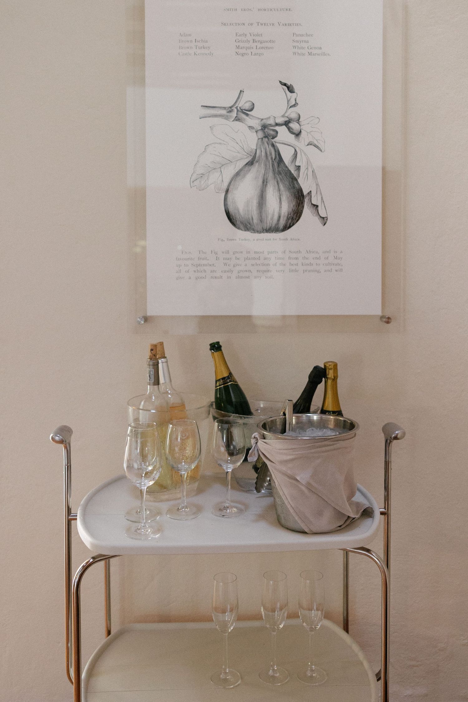 Cape Town wedding photographer Christene de Coning documentary wedding at Babylonstoren.