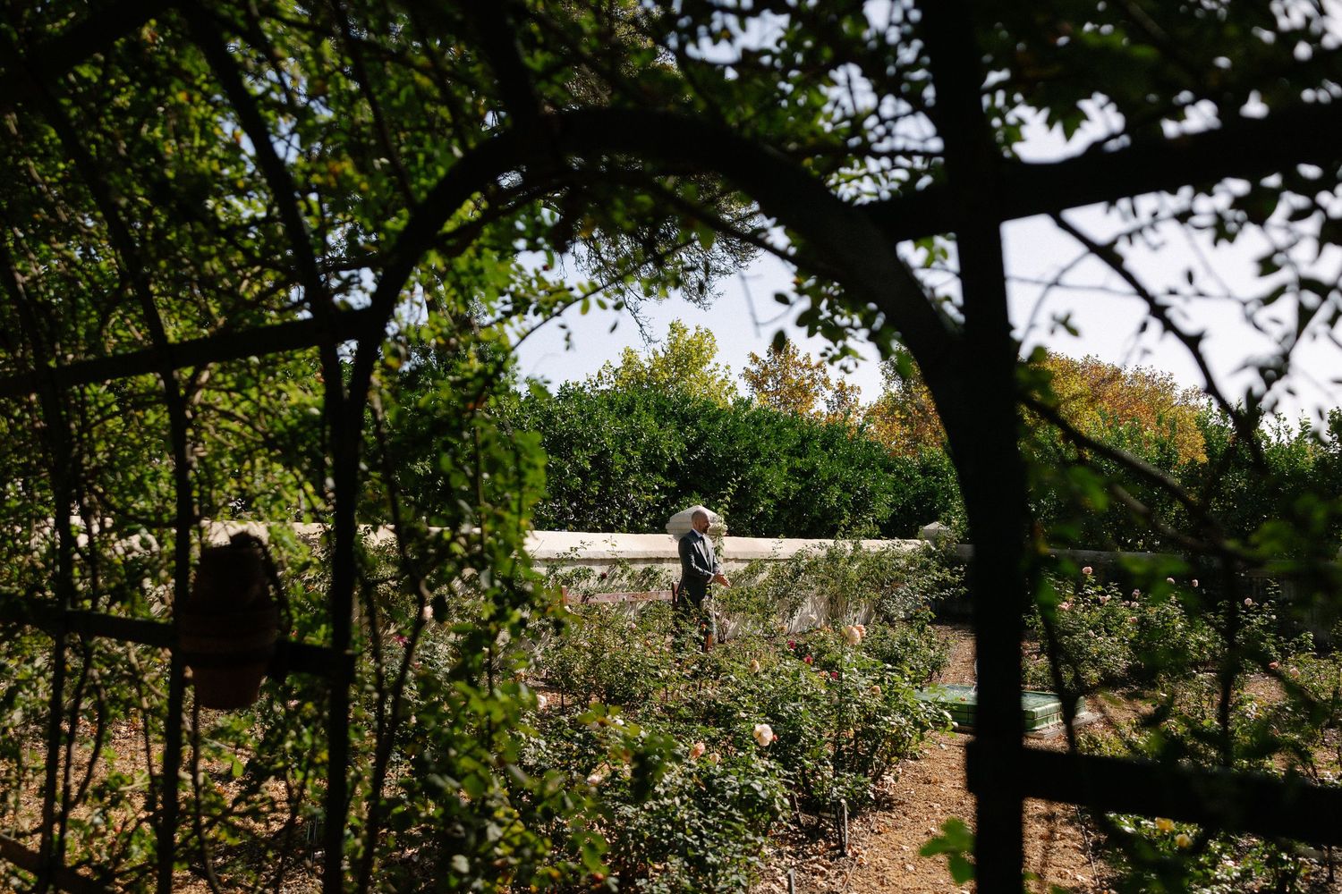 Cape Town wedding photographer Christene de Coning documentary wedding at Babylonstoren.